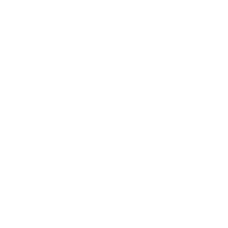 Full-stack Developer