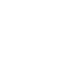 Developer Internship